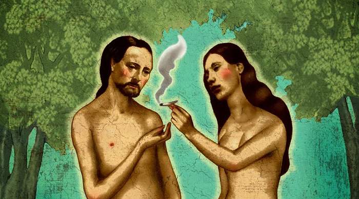 Did Eve Discover Cannabis in the Garden of Eden?