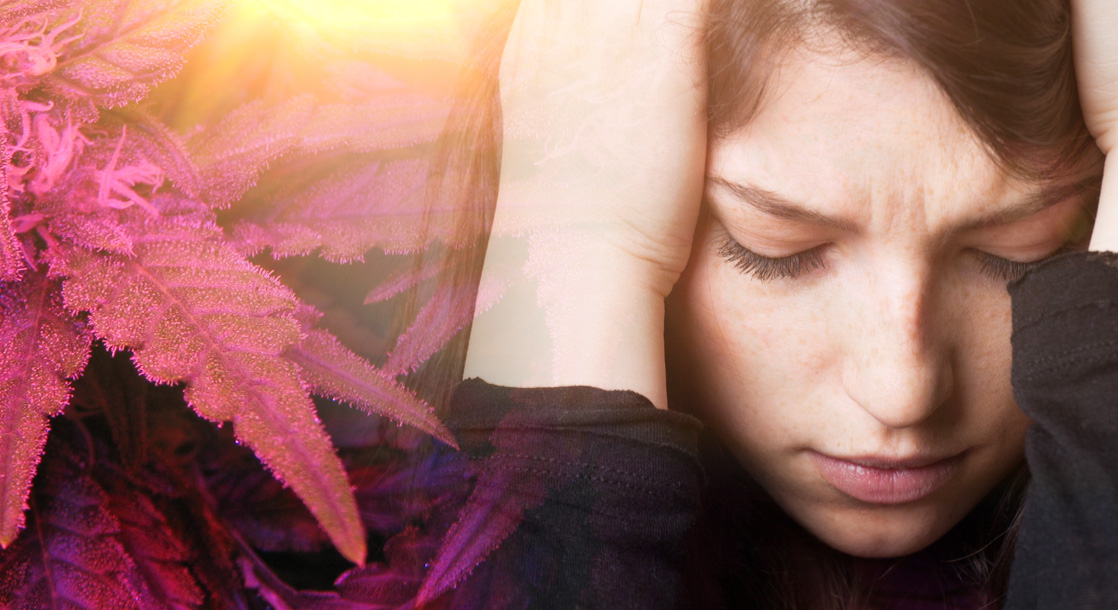 Cannabis’s Unique Relationship with Anxiety