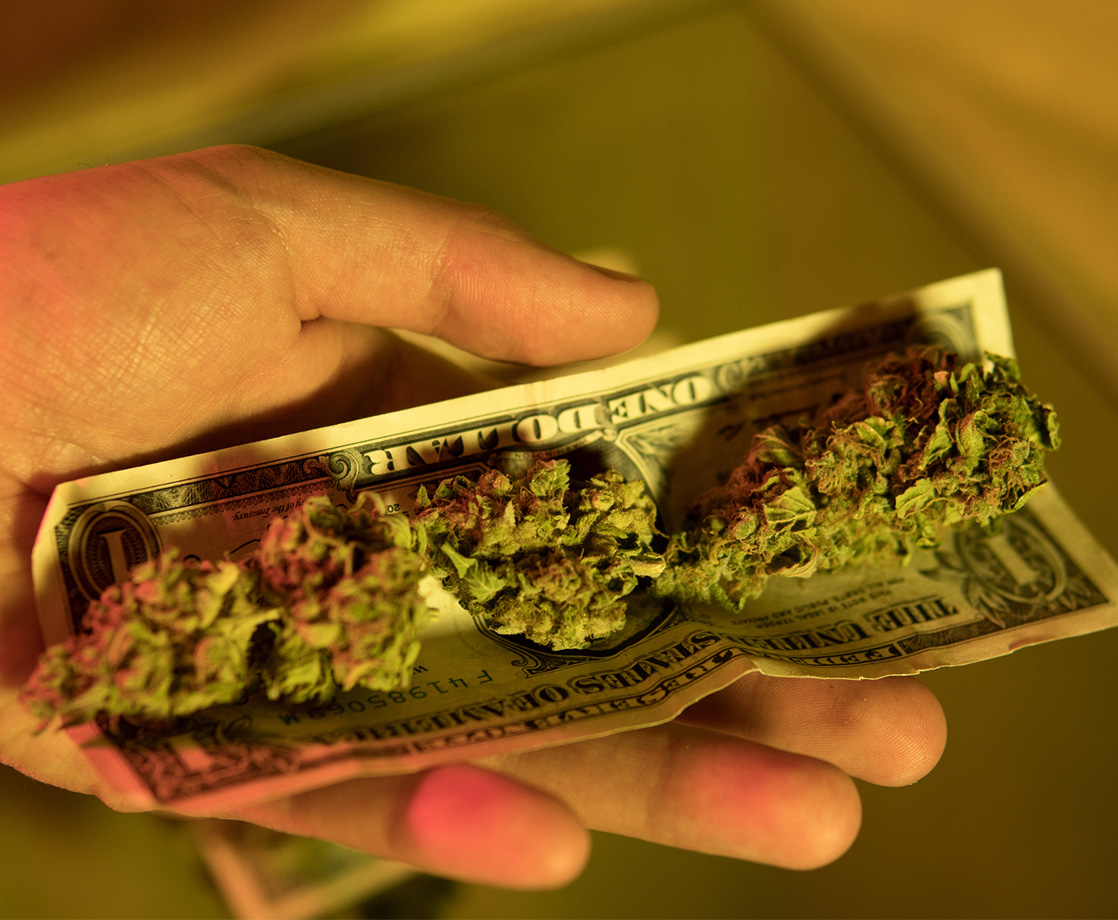 California Prepares for New Cannabis Regulations, Anticipates Supply Shortages
