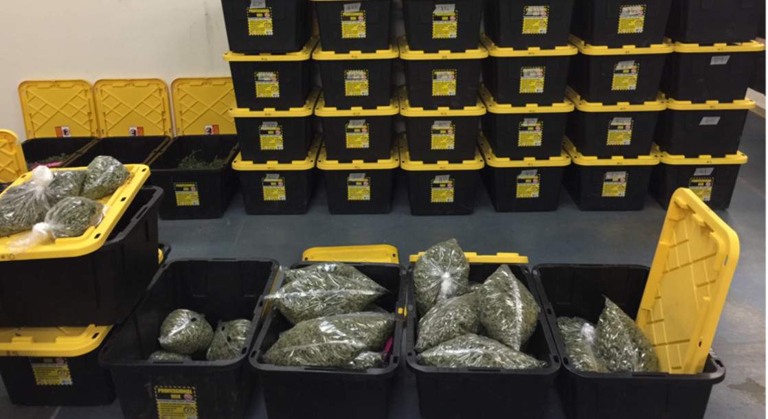 California Cops Seize $10 Million of Legally-Grown Weed