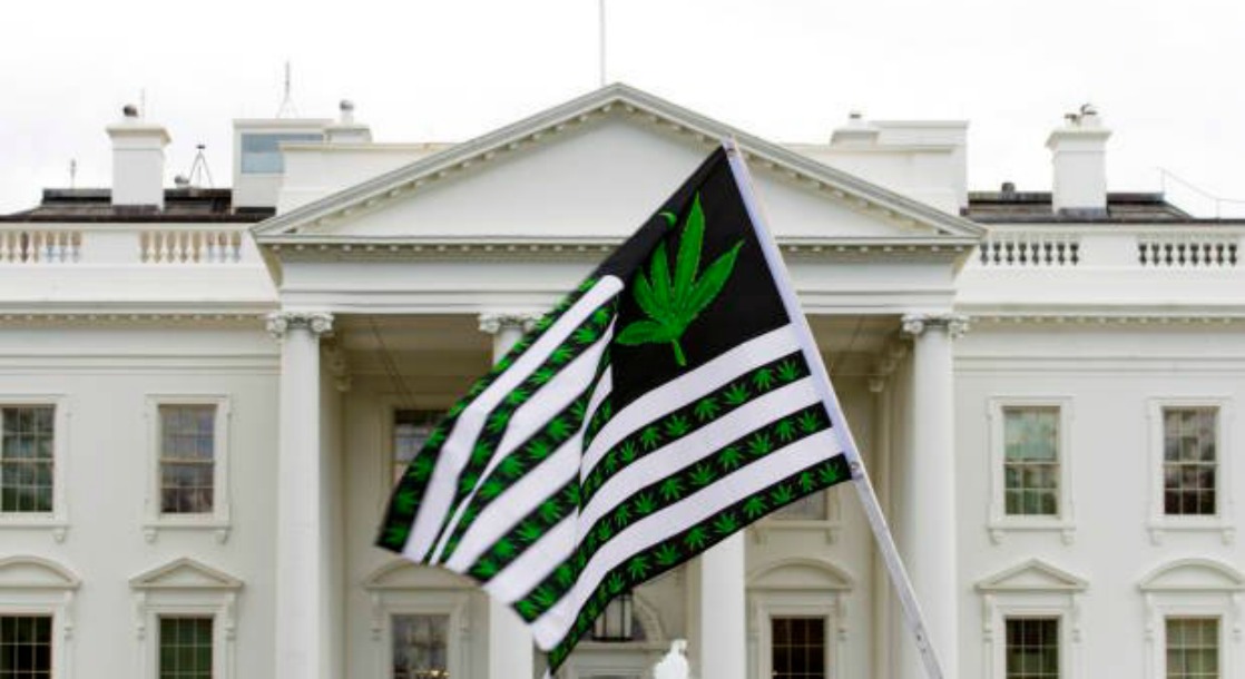 Congressional Cannabis Caucus Responds to Trump Administration’s Comments on Recreational Marijuana