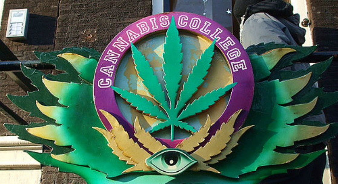 Cleveland’s Cannabis College Is Here to Train Ohio’s Next Medical Marijuana Professionals
