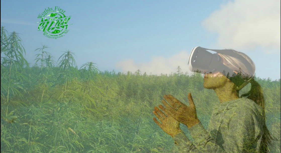 VR Offers North Carolina Residents a Glimpse at What Cannabis Legalization Would Look Like