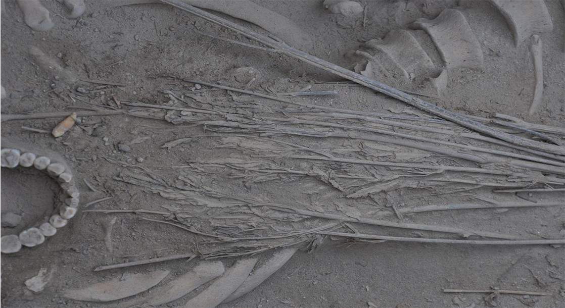 Archaeologists Discover 2,500 Year Old Cannabis Burial Shroud in China