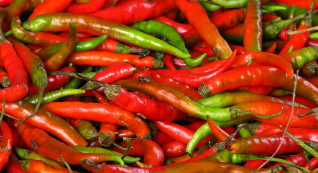 Researchers Discover That Chili Peppers and Cannabis Could Both Reduce Stomach Inflammation