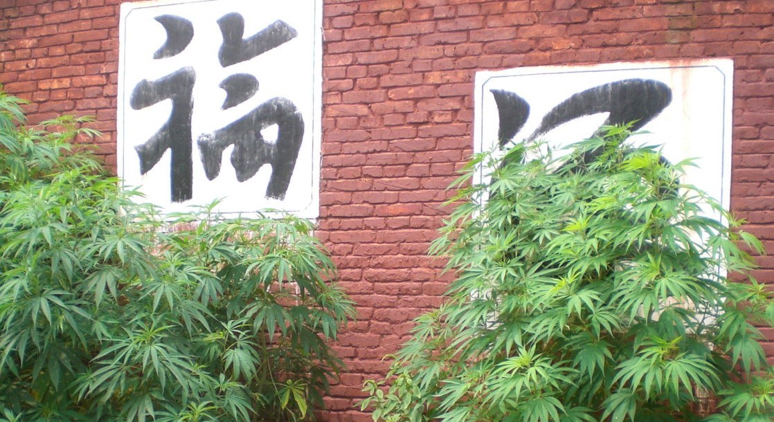 China Could Become a Major Player in the Cannabis Industry