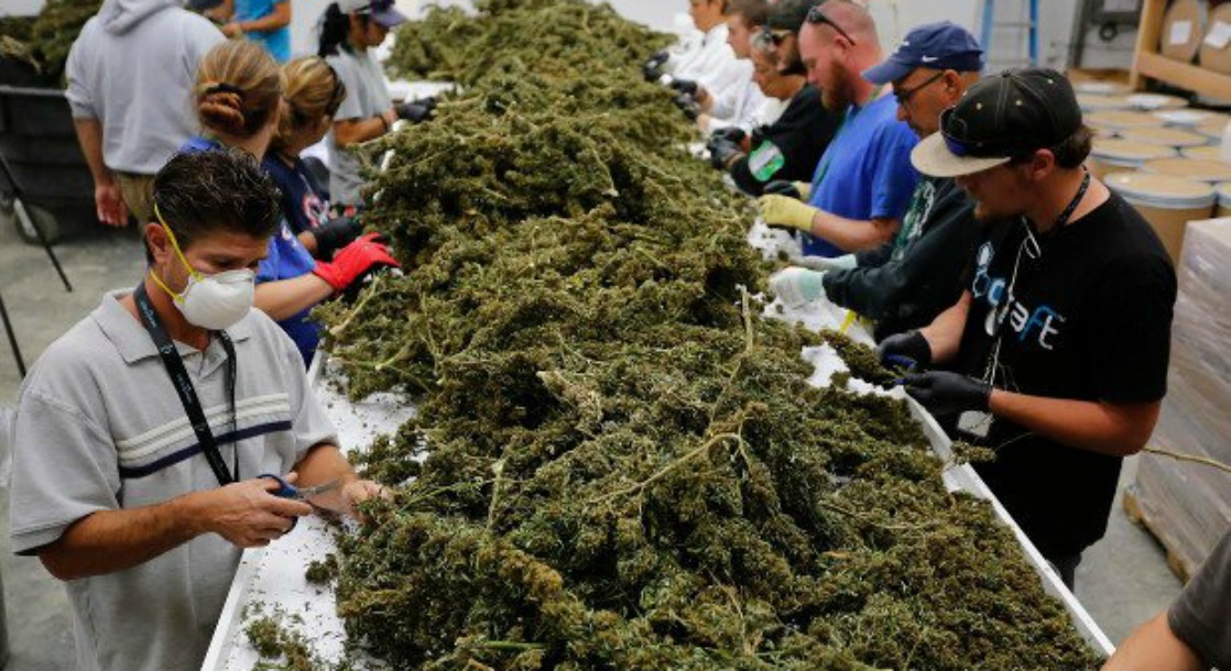 Colorado Legislation Would Create a Loophole for Cannabis Growers to Escape a Federal Crackdown