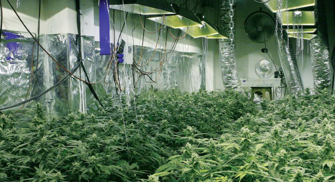 Colorado Plans To Prohibit Co-Op Grow-Ops