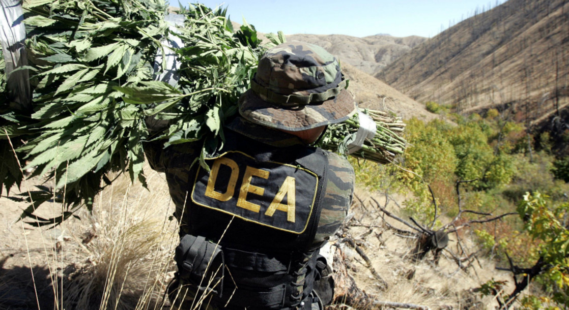 DEA Busts Colorado Grow-Op for Smuggling Pot to Canna-Illegal States