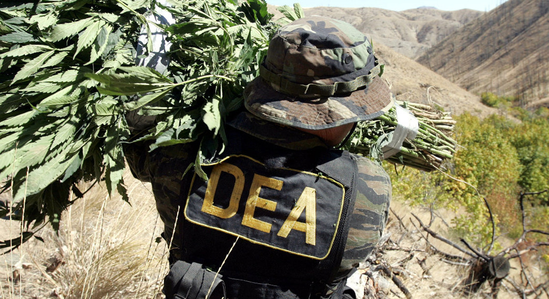 The Downside to the DEA Rescheduling Cannabis