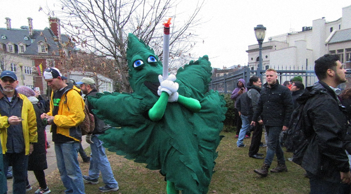 Cannabis Activists Gave Out Free Weed at the Trump Inauguration