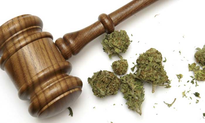 Federal Court Stands With Medical Marijuana Growers Against DEA