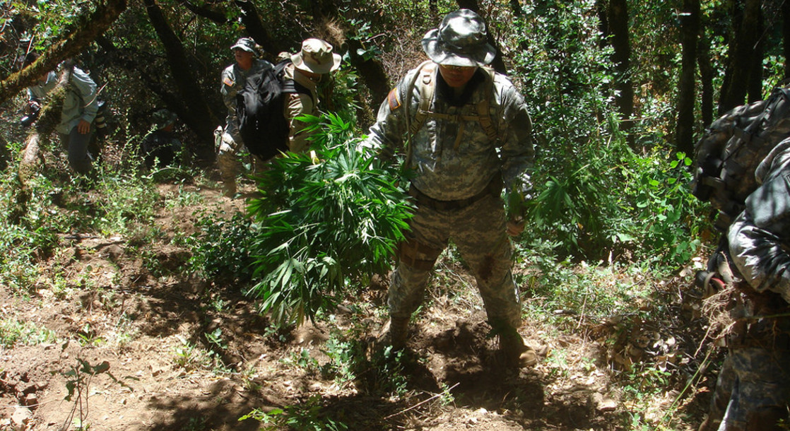 Feds Create Toxic Mess by Destroying Marijuana Grows
