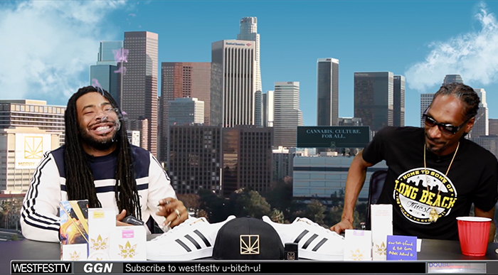 D.R.A.M. and Snoop Dogg Talk Tripping on Shrooms, the Beyoncé Hookup, and TMZ F*ckery