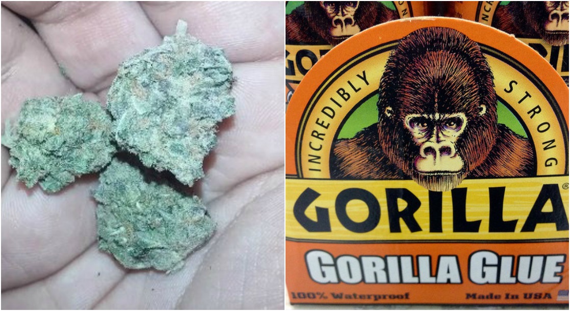 Gorilla Glue (the Glue) Is Suing the Company Behind Gorilla Glue (the Weed)
