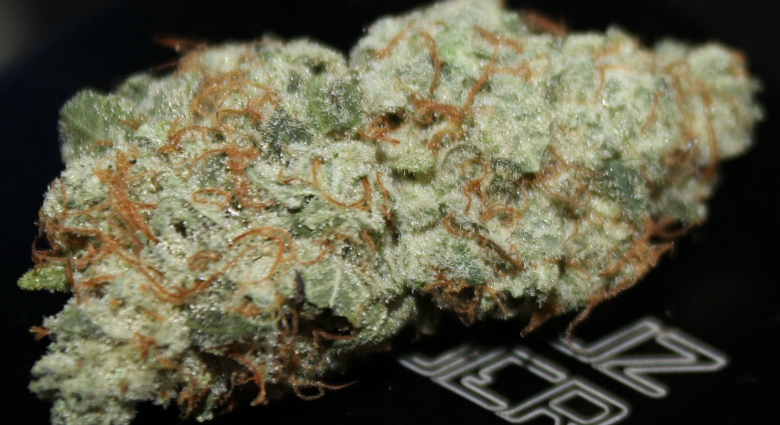 Gorilla Glue #4 is a Serious Contender to Beat Blue Dream As 2017’s Best Selling Strain