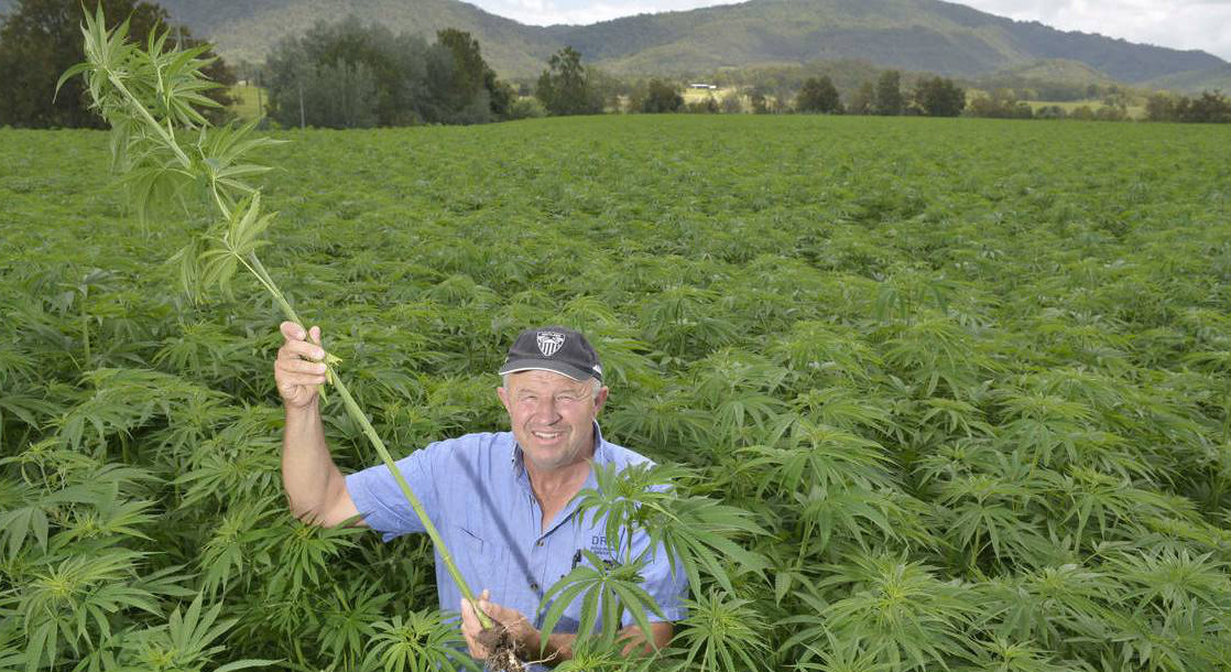 Colorado Governor Signs Bill Protecting Hemp Growers’ Rights to Water