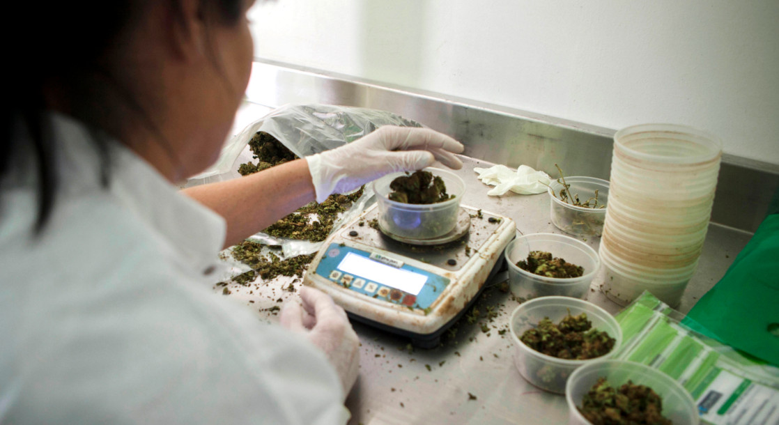 Israel Is Experiencing a Green Rush in Medical Marijuana Research