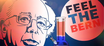Burn One for Bernie: Piping Up in Politics?
