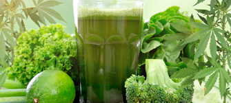 Juicing Pot Leaves: What are the Benefits?