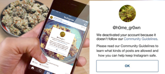 MERRY JANE: Instagram Inequality for Cannabis Accounts