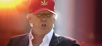 Want Marijuana Legalized? Then Donald Trump is Your Best Option