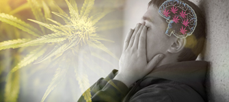 Debunking Cannabis Myths Pt. IV: Marijuana Causes Schizophrenia