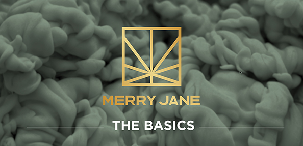 Meet MERRY JANE: The Basics