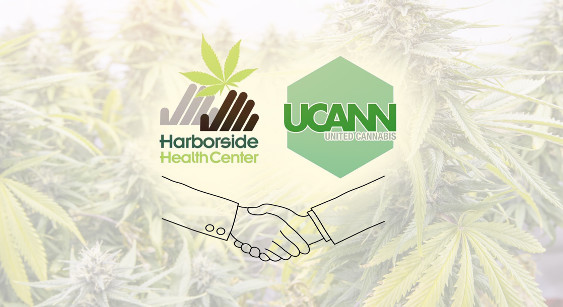 Harborside and United Cannabis Partner Up to Revolutionize Cannabinoid Therapy