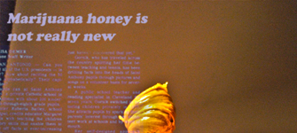 Anti-Pot Propaganda: Marijuana Honey