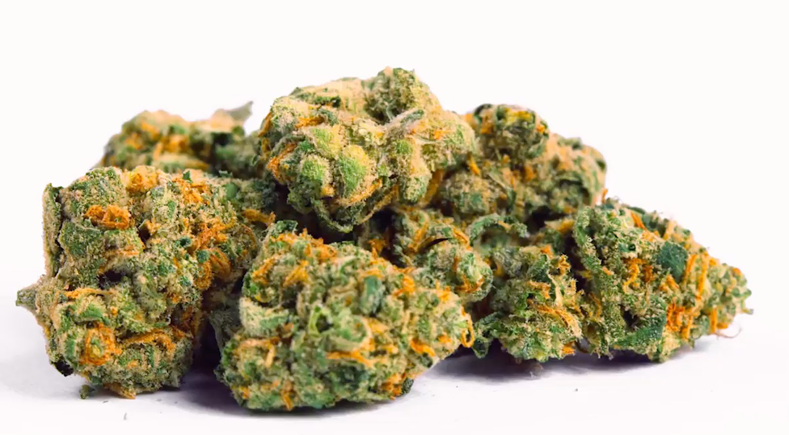 Say Hello to Lamb’s Bread, One of Bob Marley’s Favorite Strains