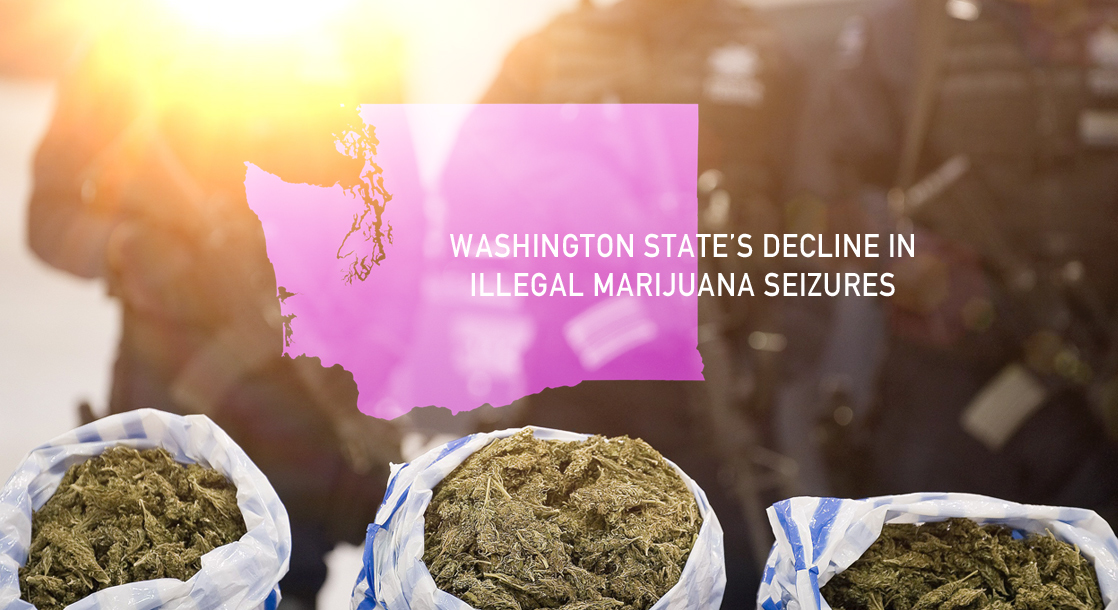 Illegal Marijuana Seizures Decline Drastically Since Legalization in Washington State