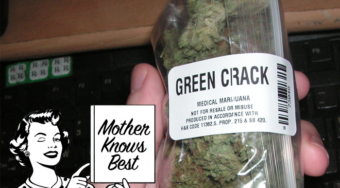 Mother Knows Best: What Should I Do During My First Dispensary Visit?