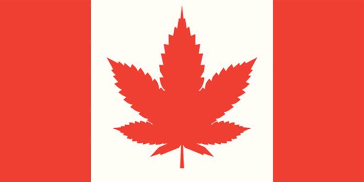 Canada Gets Green Light For Legalization