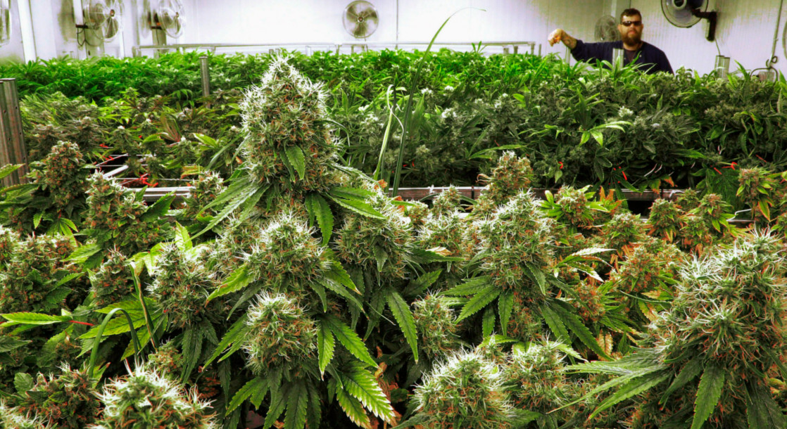Maryland Regulators Extend Deadline For Medical Cannabis Licenses