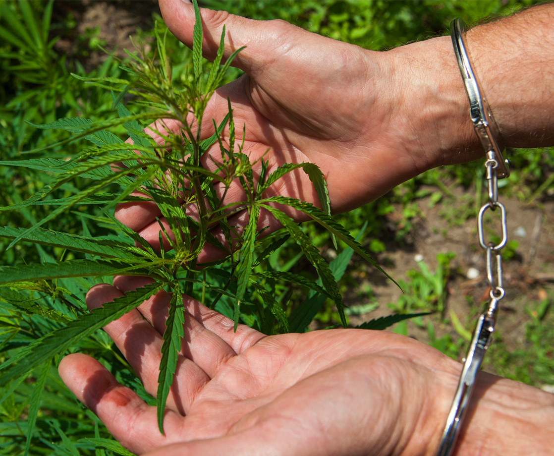 New Jersey and Pennsylvania Consider Pardoning Past Pot Convictions