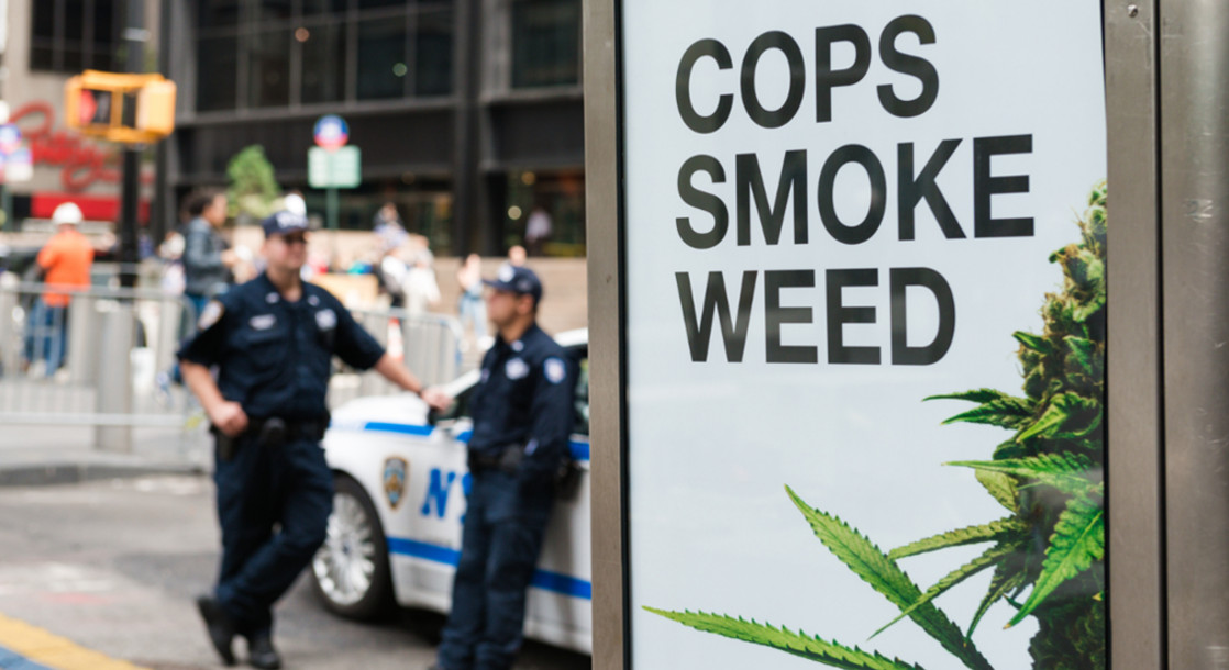 Cannabis Prohibition in New York Has Everything Working Against It