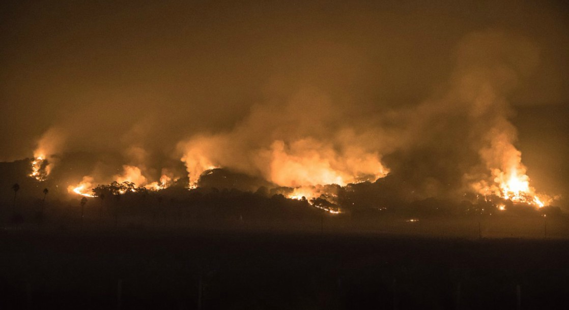 Northern California Wildfires Are Devastating the Area’s Cannabis Crop