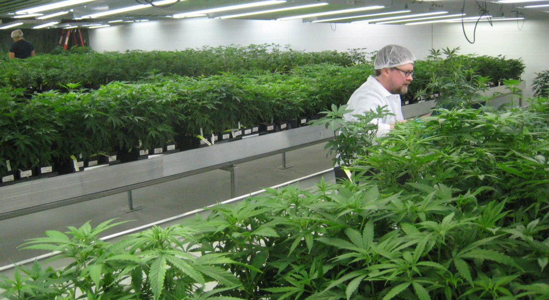 Ohio Medical Marijuana Committee Debates High MMJ Licensing Fees