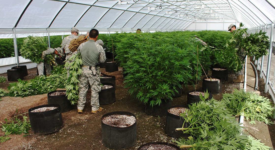 Cannabis Overproduction in Oregon Could Lead to Federal Crackdown