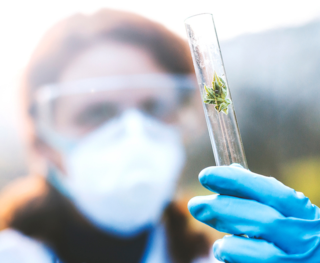 Pennsylvania Judge Halts State’s Plans for Medical Cannabis Research