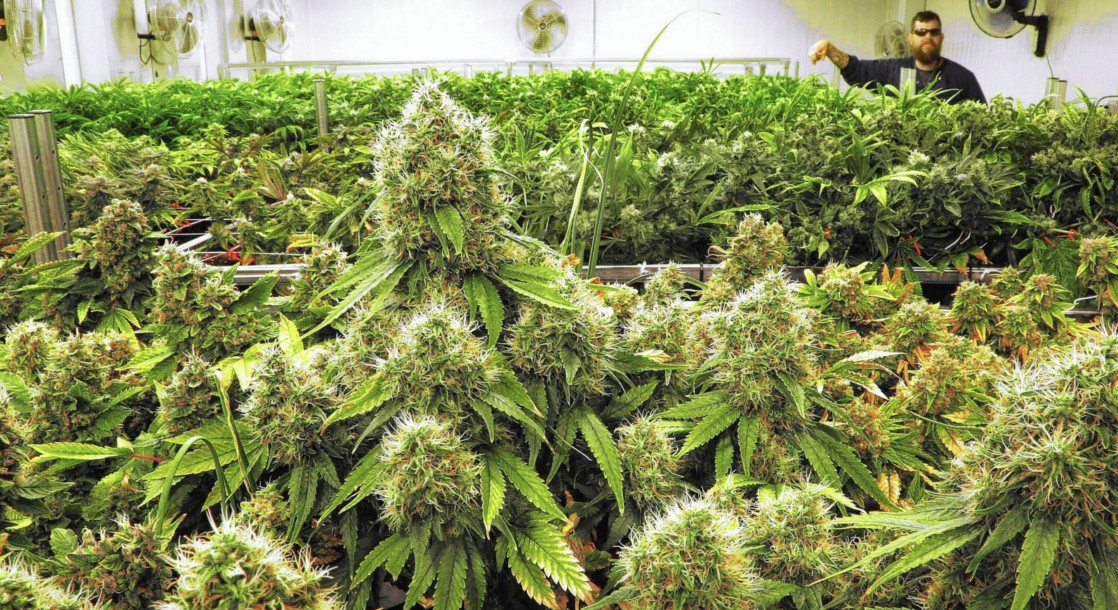 Pennsylvania Issues 27 Licenses for Medical Marijuana Dispensaries