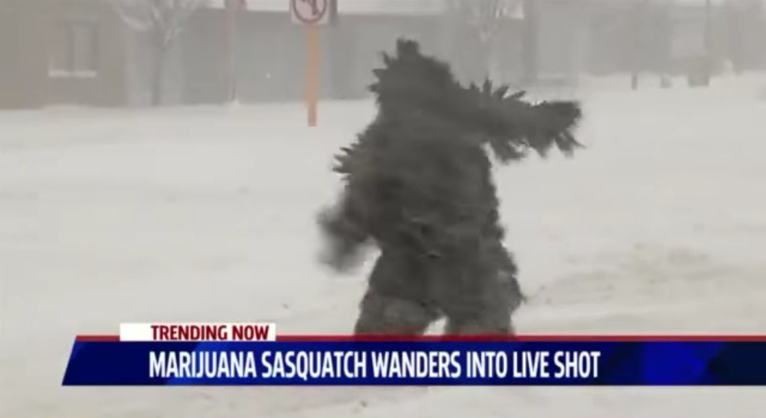 The Abominable Weedman Masterfully Trolls Massachusetts Weather Report