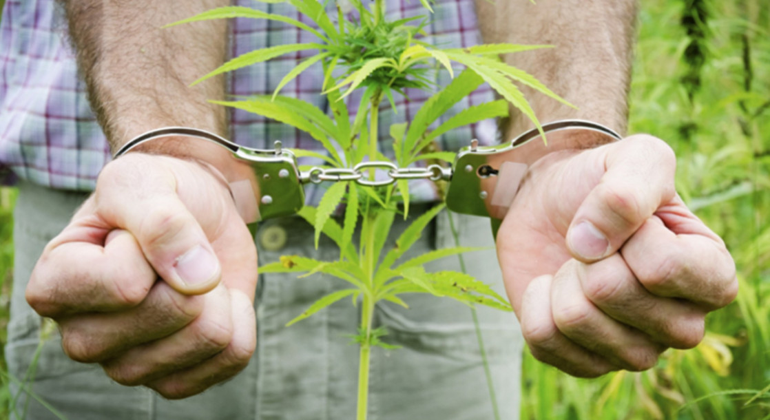 Cannabis Legalization in California is Enabling Former Offenders to Move On with Their Lives