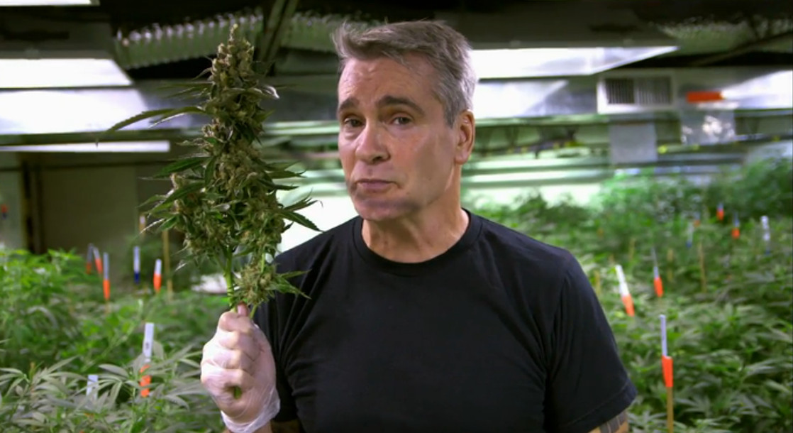 Henry Rollins Will Headline the International Cannabis Business Conference