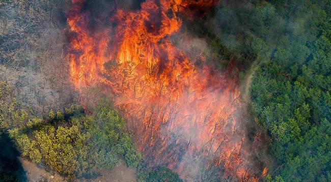 Massive Wildfire Spreading Through California Threatens Cannabis Crops