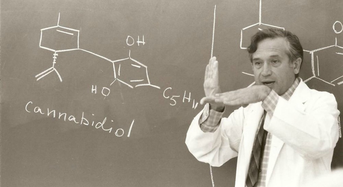 The Scientist Who Discovered THC Has Never Smoked Weed
