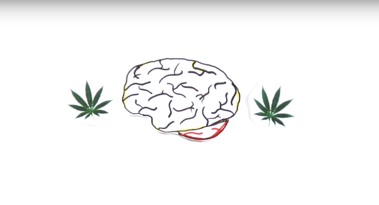 Video: Here’s What Your Brain is Really Like On Marijuana