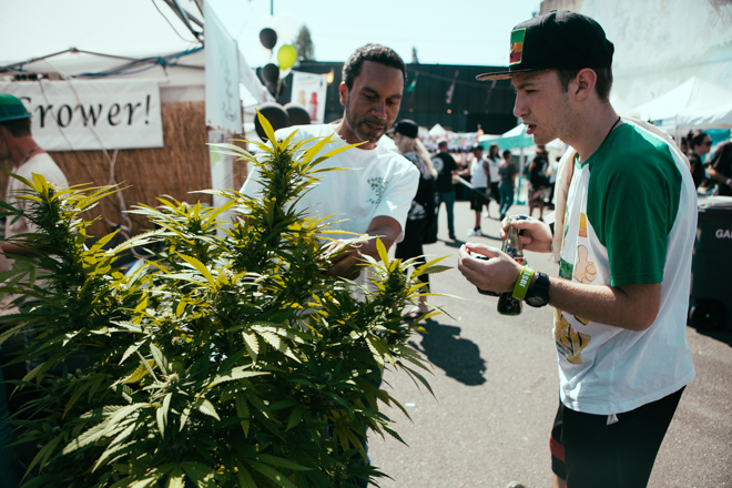 Video: Highlights from the 2015 World Cannabis Cup