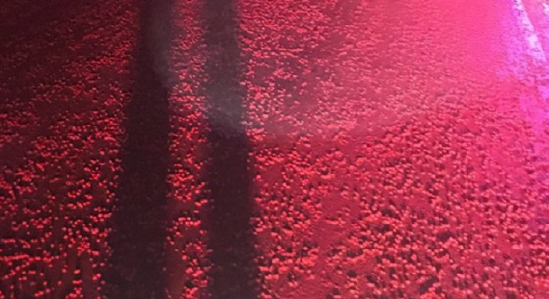 Thousands of Skittles Spilled on a Wisconsin Highway Reveal a Meat Industry Secret